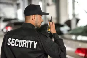 private security