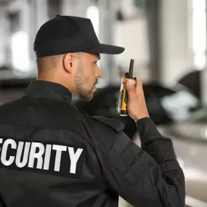 private security